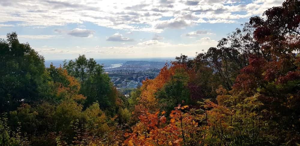 Árpád lookout — 2