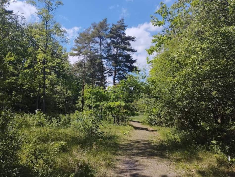 Botanical Garden, Soroksár — 2