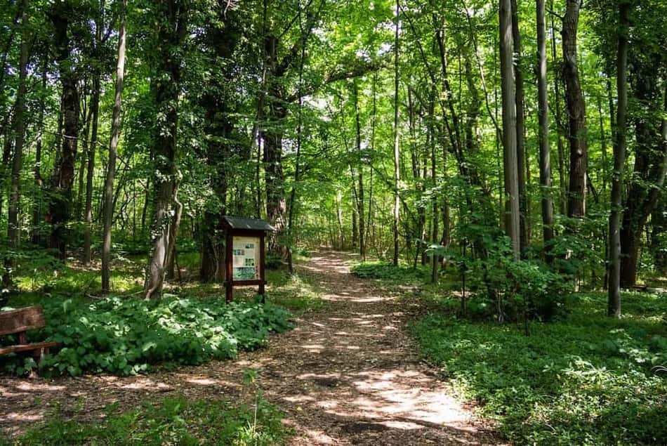 Botanical Garden, Soroksár — 3