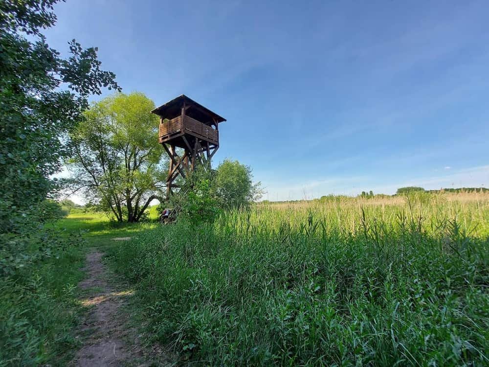 Merzse Swamp Nature Reserve — 2