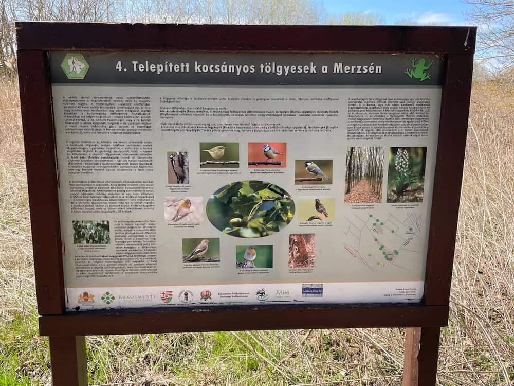 Merzse Swamp Nature Reserve — 3