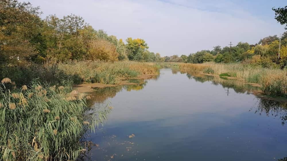 Molnár-sziget