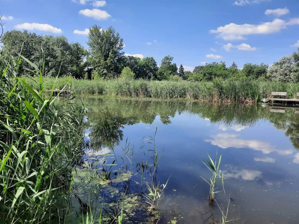 Molnár-sziget — 2