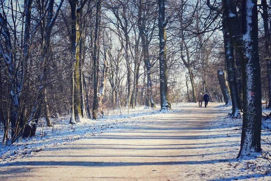 Normafa Park — 3
