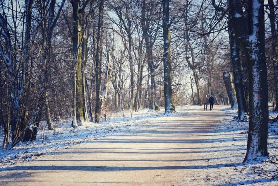 Normafa Park — 3