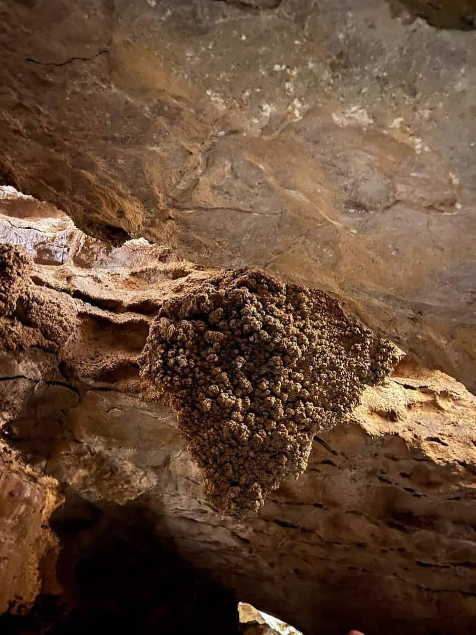 Szemlő-hegyi Cave — 3
