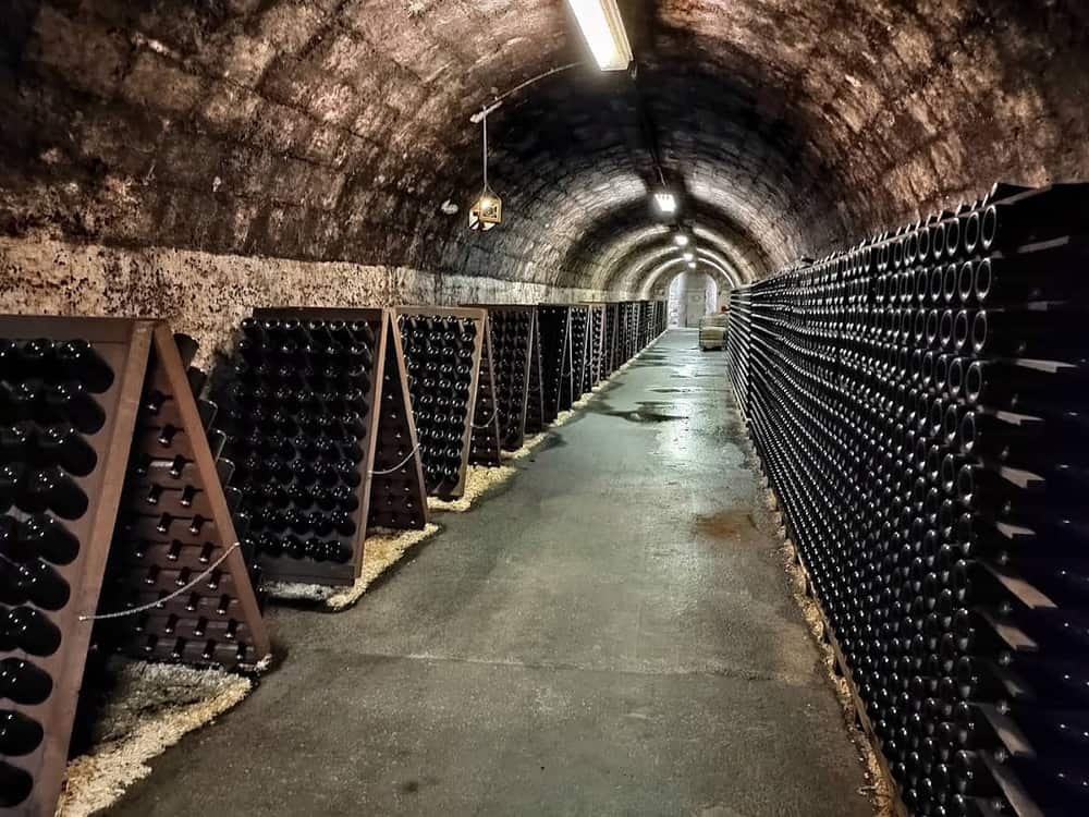 Törley Sparkling Wine Cellar — 2