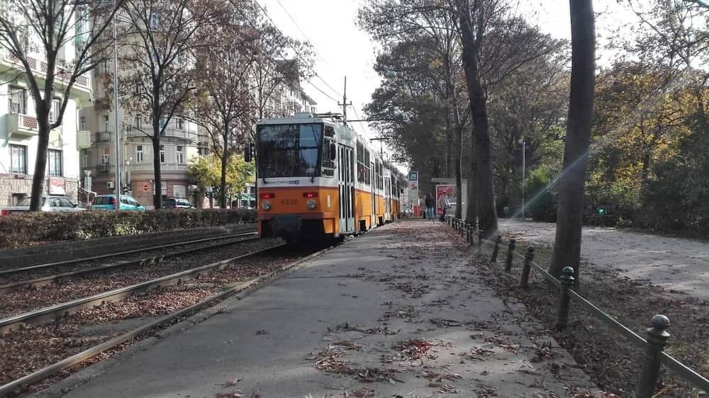 Városmajor park — 2