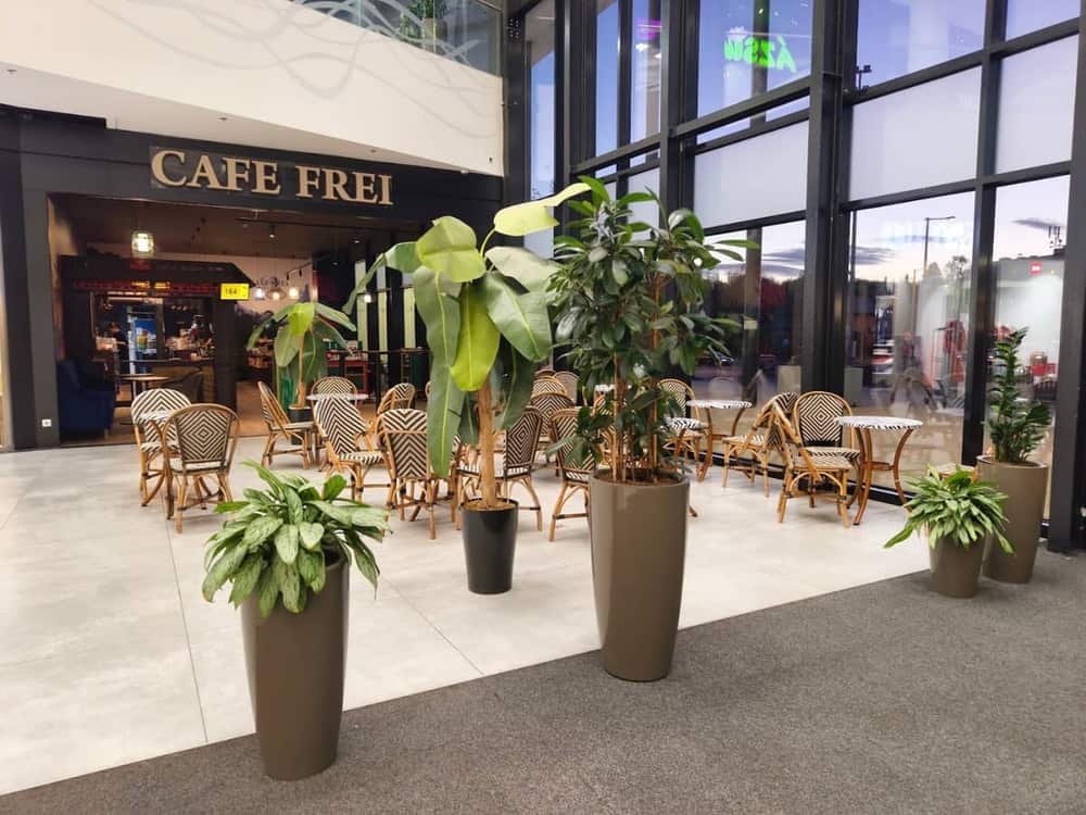 CAFE FREI SHOPMARK
