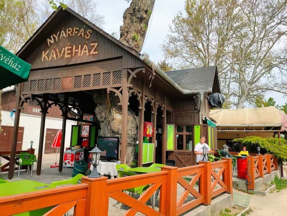 ROM BUSZ beer garden and BBQ facilities