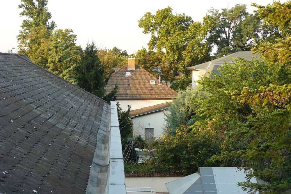 Pestújhely Panzió