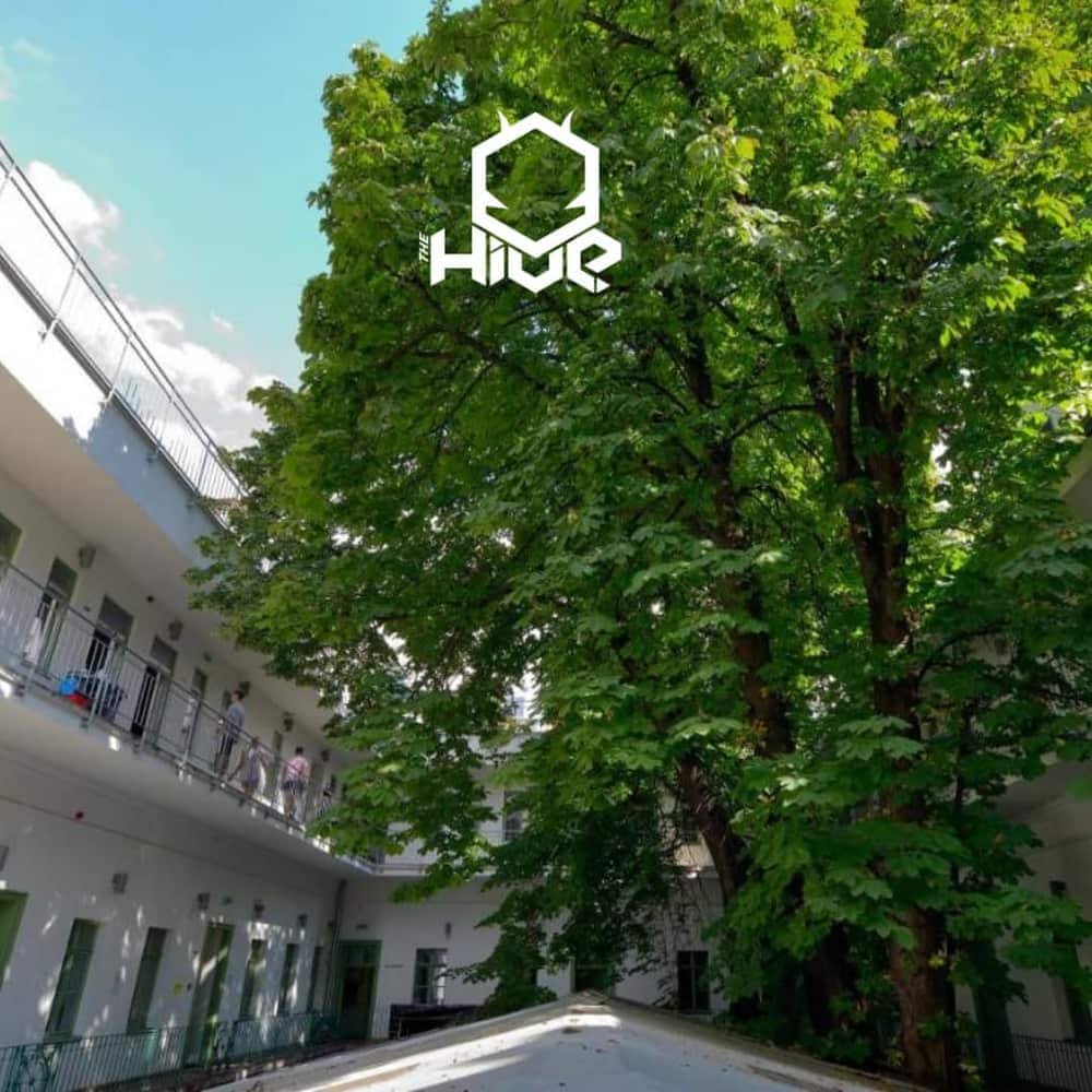 The Hive Party Hostel